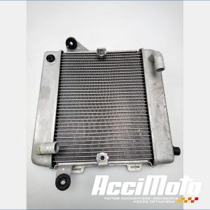 Radiateur de refroidissement HONDA FORZA NSS300