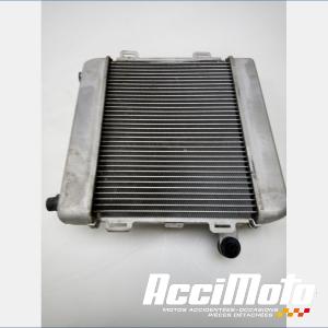 Radiateur de refroidissement HONDA FORZA NSS300