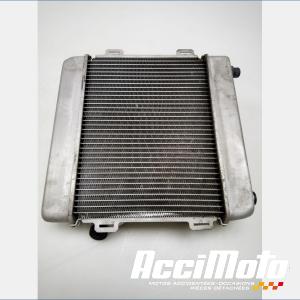 Radiateur de refroidissement HONDA FORZA NSS300