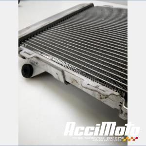 Radiateur de refroidissement HONDA FORZA NSS300