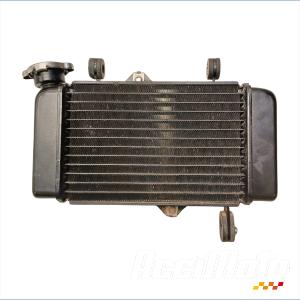 Radiateur de refroidissement YAMAHA MT 125