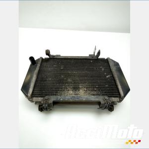 Radiateur de refroidissement KYMCO AK 550