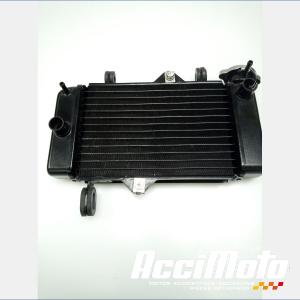 Radiateur de refroidissement YAMAHA MT 125