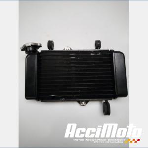 Radiateur de refroidissement YAMAHA MT 125