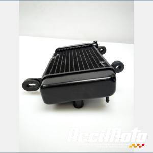 Radiateur de refroidissement YAMAHA MT 125