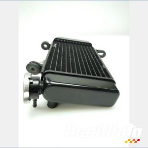 Radiateur de refroidissement YAMAHA MT 125