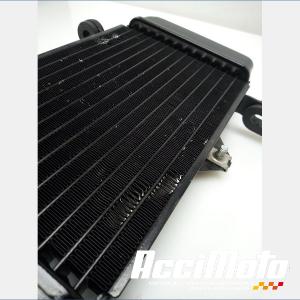 Radiateur de refroidissement YAMAHA MT 125