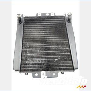 Radiateur de refroidissement PIAGGIO MP3 400