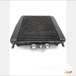 Radiateur de refroidissement PIAGGIO MP3 400