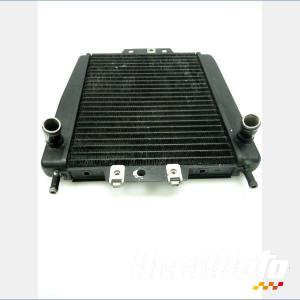 Radiateur de refroidissement PIAGGIO MP3 400