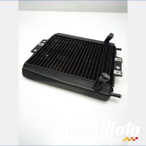 Radiateur de refroidissement PIAGGIO MP3 400