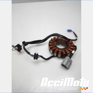 Stator d'alternateur KTM 890 DUKE