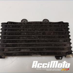 Radiateur d'huile SUZUKI BANDIT GSF600N