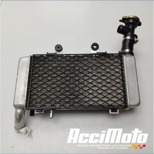 Radiateur de refroidissement HONDA VFR800 FI (98-01)