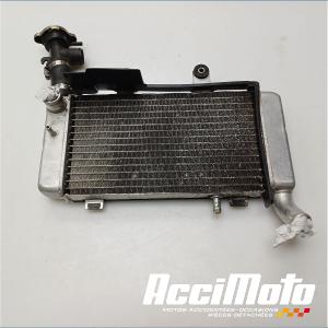 Radiateur de refroidissement HONDA VFR800 FI (98-01)