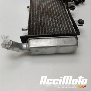 Radiateur de refroidissement HONDA VFR800 FI (98-01)