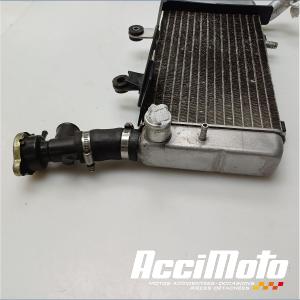 Radiateur de refroidissement HONDA VFR800 FI (98-01)