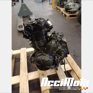 MOTEUR THERMIQUE KAWASAKI ER6 N