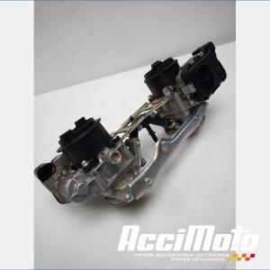 Rampe d'injection (moteur) APRILIA SHIVER 750