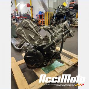 MOTEUR THERMIQUE SUZUKI SV 650N