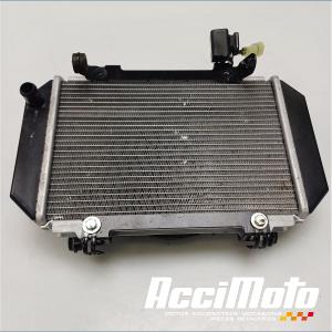 Radiateur de refroidissement KYMCO CV3 550