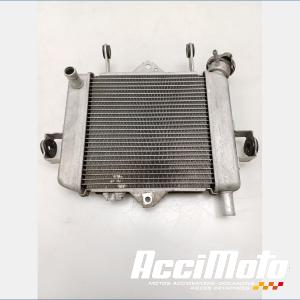 Radiateur de refroidissement SUZUKI GSXR 125