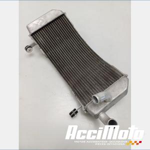 Radiateur de refroidissement YAMAHA TMAX XP530 DX