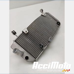 Radiateur de refroidissement YAMAHA TMAX XP530 DX