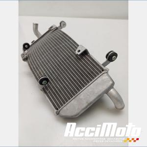 Radiateur de refroidissement YAMAHA TMAX XP530 DX