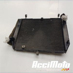 Radiateur de refroidissement YAMAHA R1 YZF1000