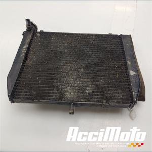 Radiateur de refroidissement YAMAHA R1 YZF1000