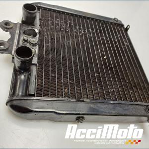 Radiateur de refroidissement HARLEY DAVIDSON V-ROD VRSCA/B