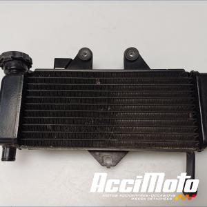 Radiateur de refroidissement HONDA SHADOW VT125C