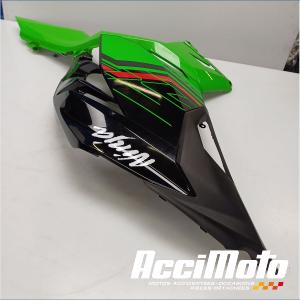 Flanc de carénage avant (gauche) KAWASAKI NINJA EX400