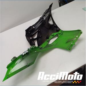 Flanc de carénage avant (gauche) KAWASAKI NINJA EX400