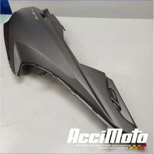 Coque arrière (droite) SUZUKI BURGMAN AN650