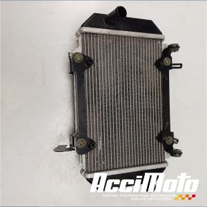 Radiateur de refroidissement KYMCO AK 550