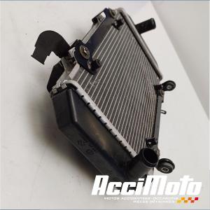 Radiateur de refroidissement KYMCO AK 550