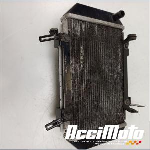 Radiateur de refroidissement KYMCO AK 550