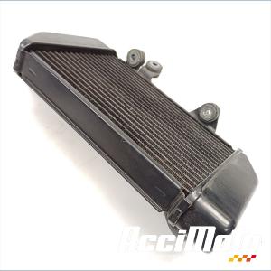 Radiateur de refroidissement HONDA TRANSALP XL700V