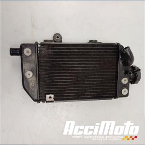 Radiateur de refroidissement HONDA TRANSALP XL700V