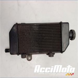 Radiateur de refroidissement HONDA TRANSALP XL700V