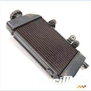 Radiateur de refroidissement HONDA TRANSALP XL700V