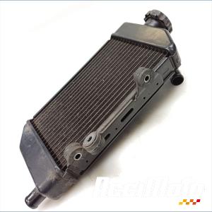 Radiateur de refroidissement HONDA TRANSALP XL700V