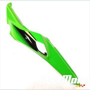 Coque arrière (gauche) KAWASAKI NINJA EX650