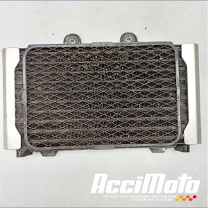 Radiateur d'huile SUZUKI GSX 1200 INAZUMA