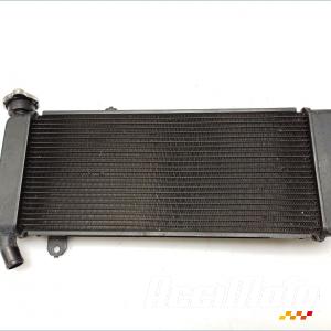 Radiateur de refroidissement KAWASAKI VERSYS 650