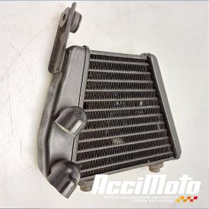 Radiateur d'huile VICTORY MOTORCYCLES MAGNUM 1700