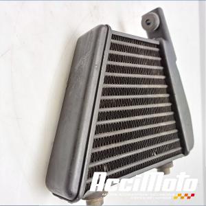 Radiateur d'huile VICTORY MOTORCYCLES MAGNUM 1700