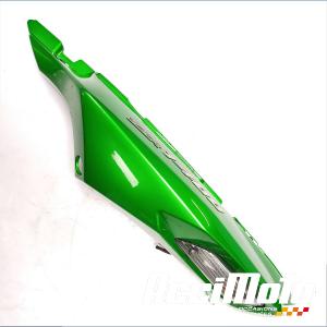 Coque arrière (gauche) KAWASAKI ZZR ZX1400